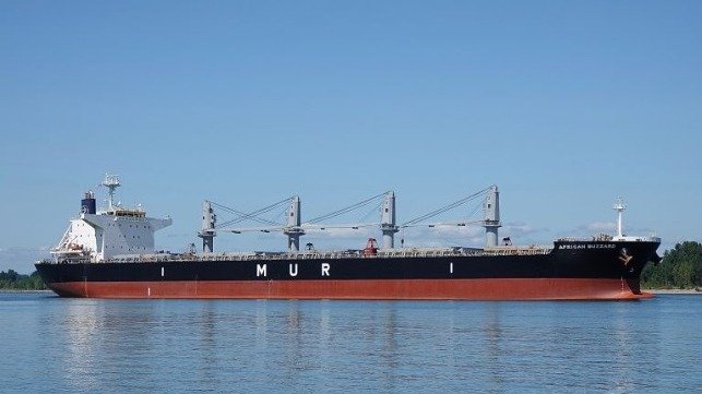 Two Bulkers Collide on Mississippi Near New Orleans